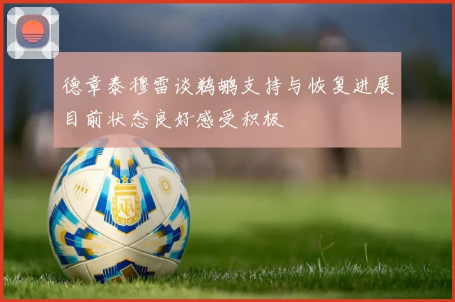 德章泰穆雷谈鹈鹕支持与恢复进展目前状态良好感受积极