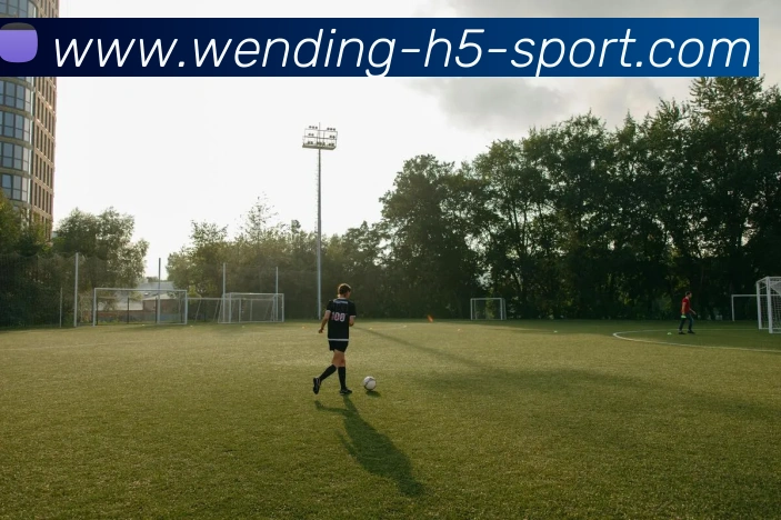 多媒体互动体验