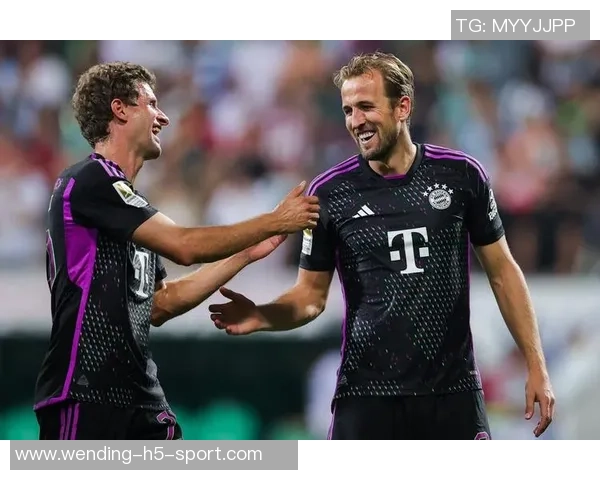 热刺对武什科维奇在汉堡的外租表现表示满意视其为球队重要一员 热刺对武什科维奇在汉堡的外租表现表示满意视其为球队重要一员